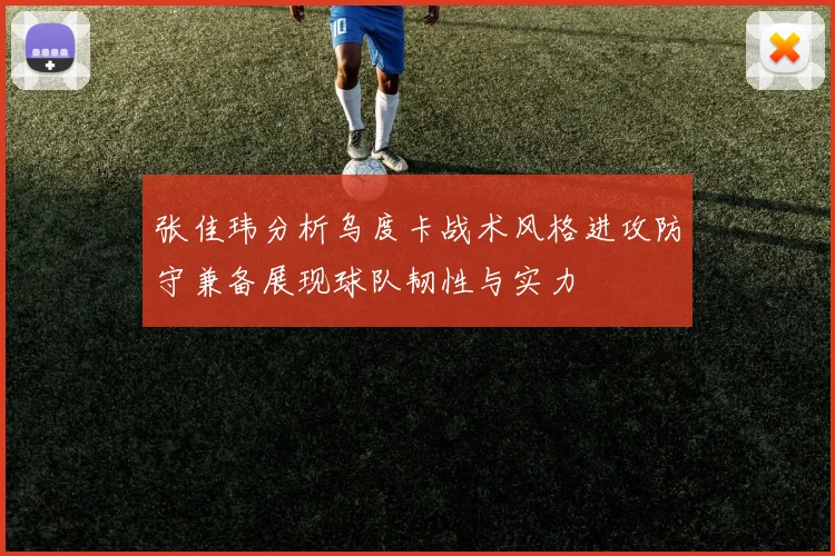 张佳玮分析乌度卡战术风格进攻防守兼备展现球队韧性与实力