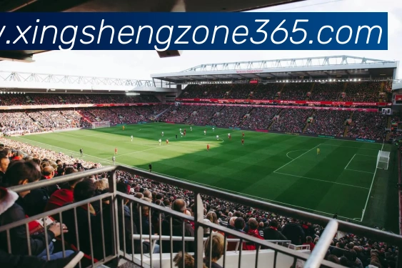 杏盛娱乐平台生态图