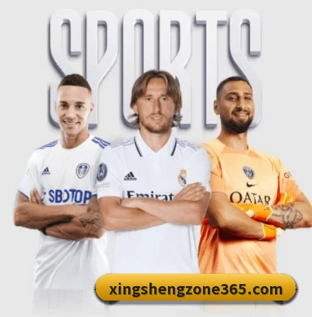 每个板块围绕一个运动项目展开(XingSheng)